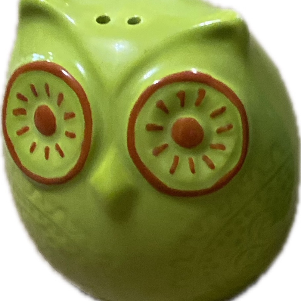 Owl Ceramic Salt and Pepper Set